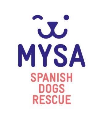 MYSA Spanish dogs rescue