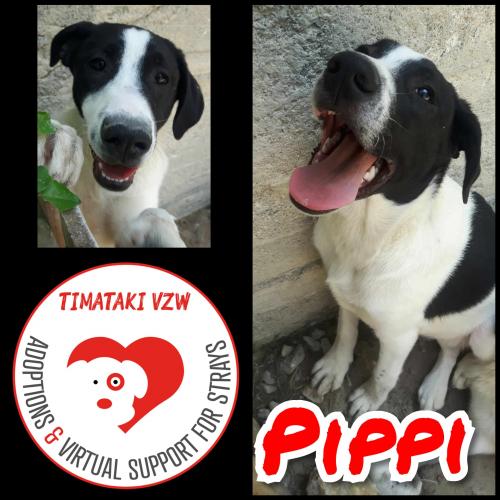 Pippi