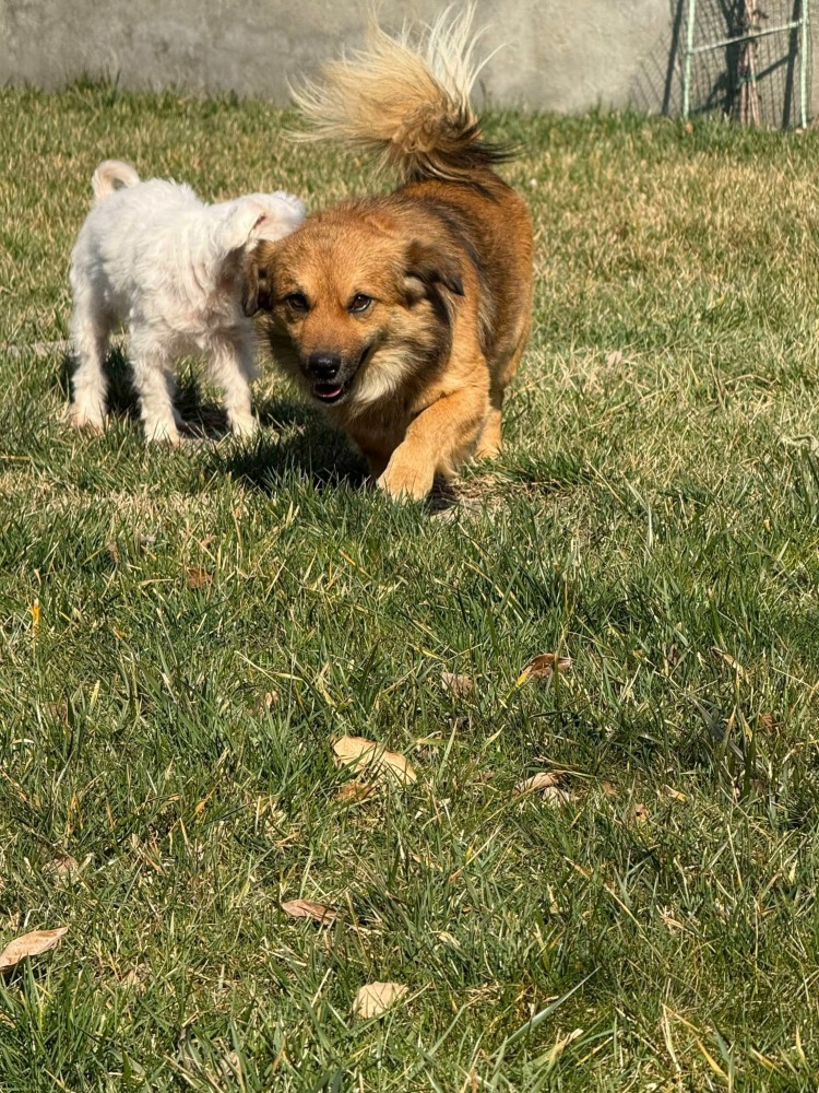 ❤️Spike❤️