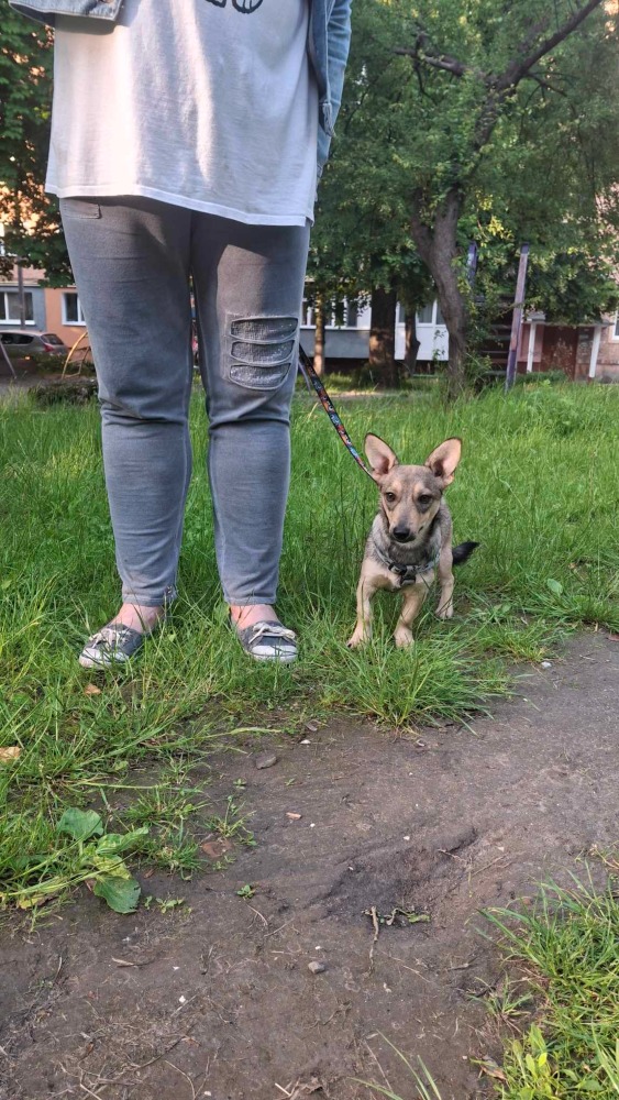 ♡Mira, speels en vrolijk♡