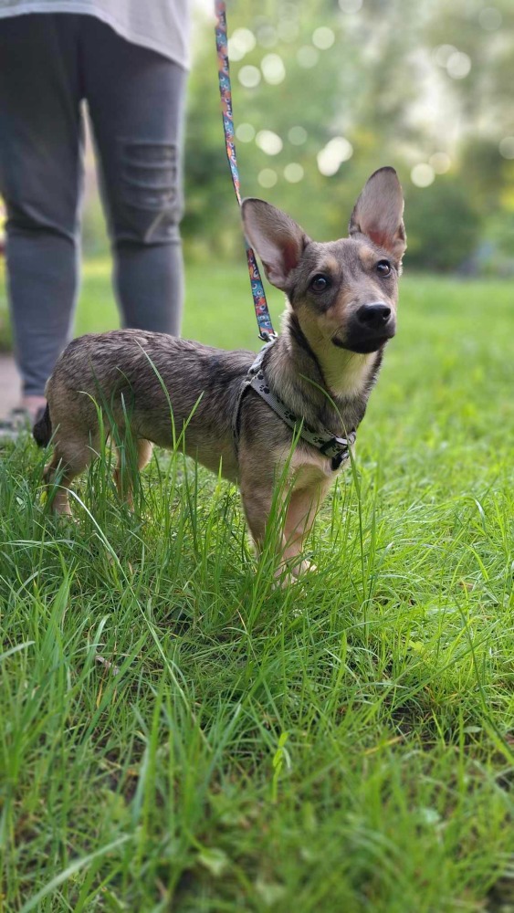 ♡Mira, speels en vrolijk♡