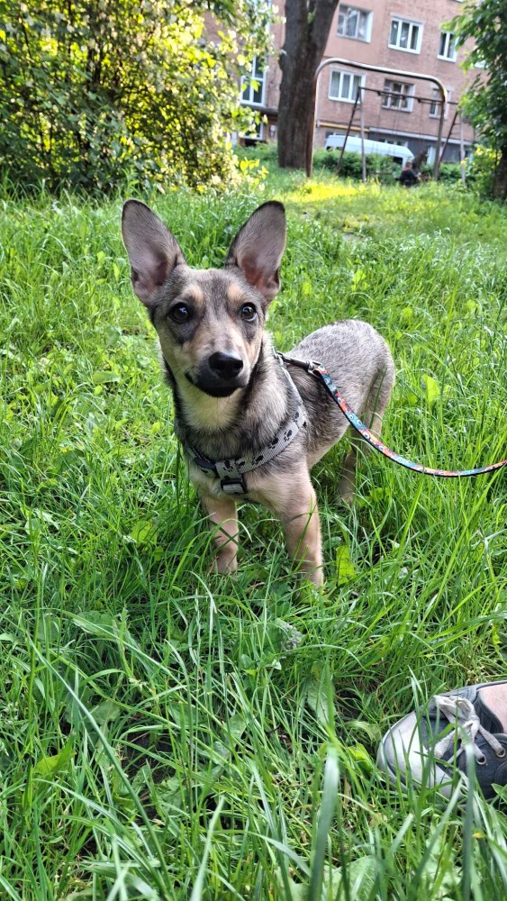 ♡Mira, speels en vrolijk♡