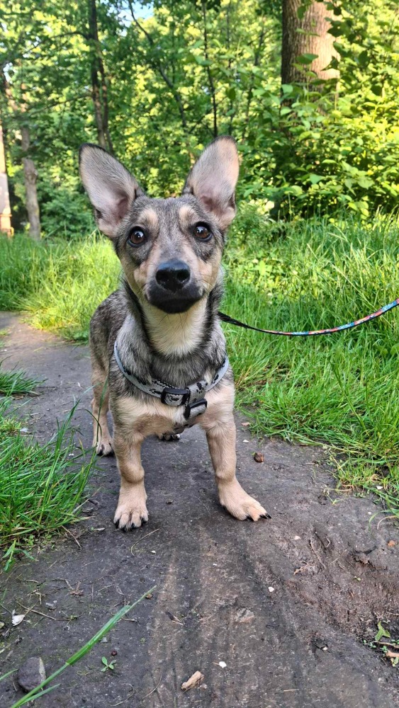 ♡Mira, speels en vrolijk♡