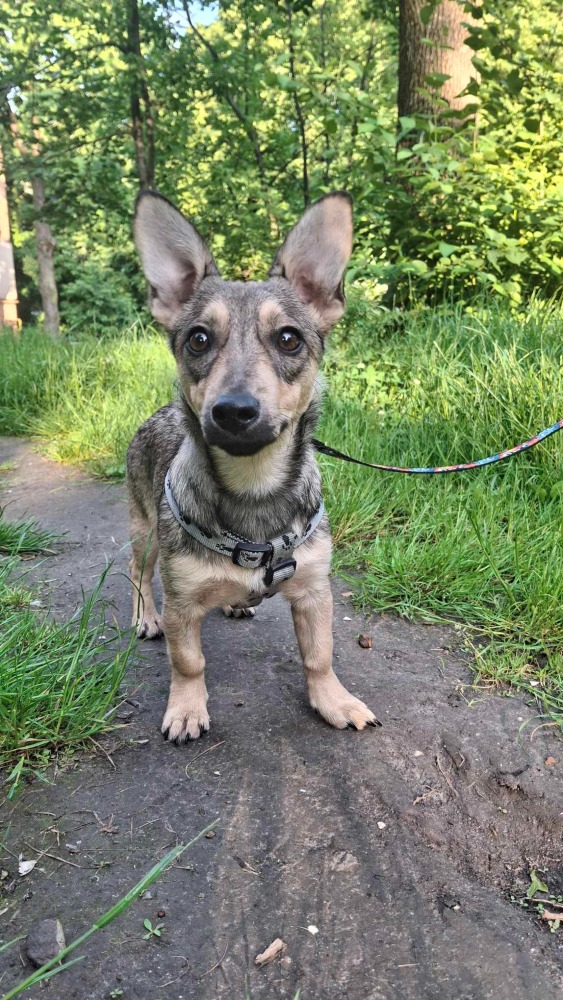 ♡Mira, speels en vrolijk♡