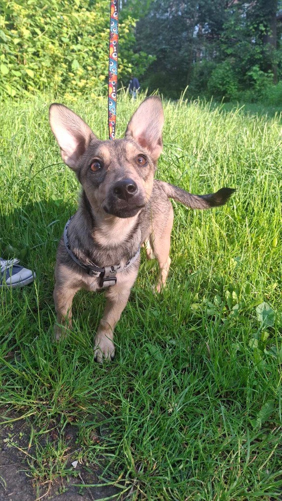 ♡Mira, speels en vrolijk♡