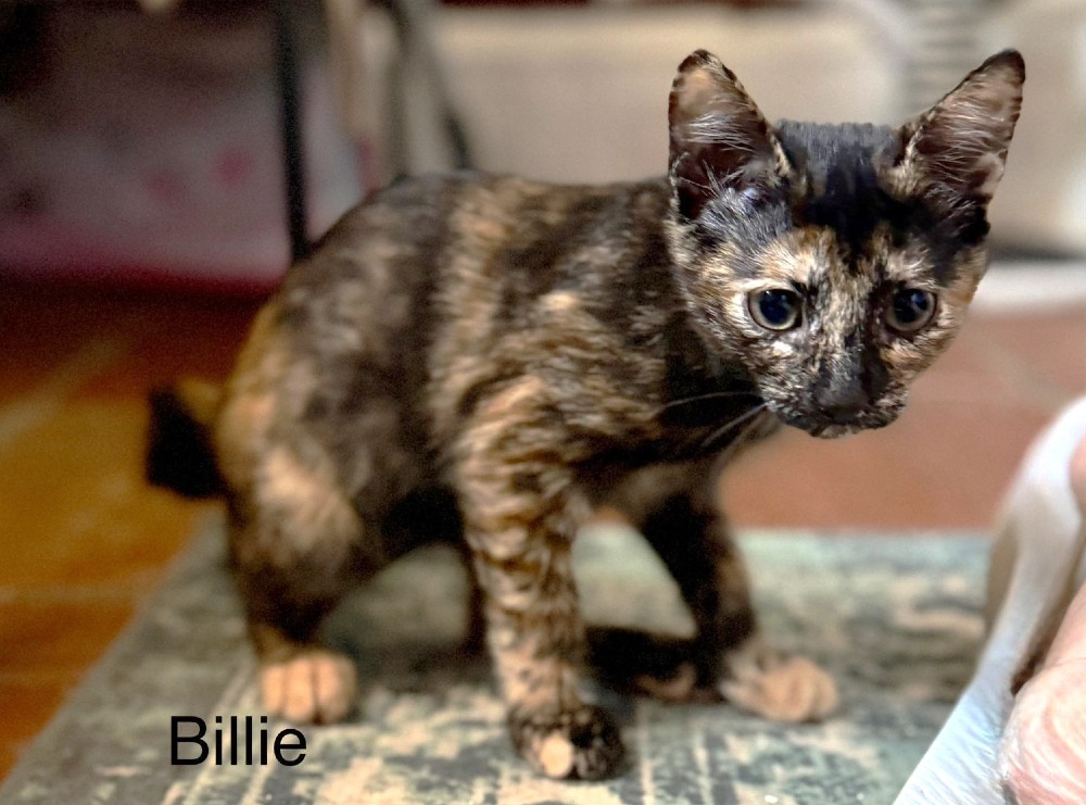 Billy