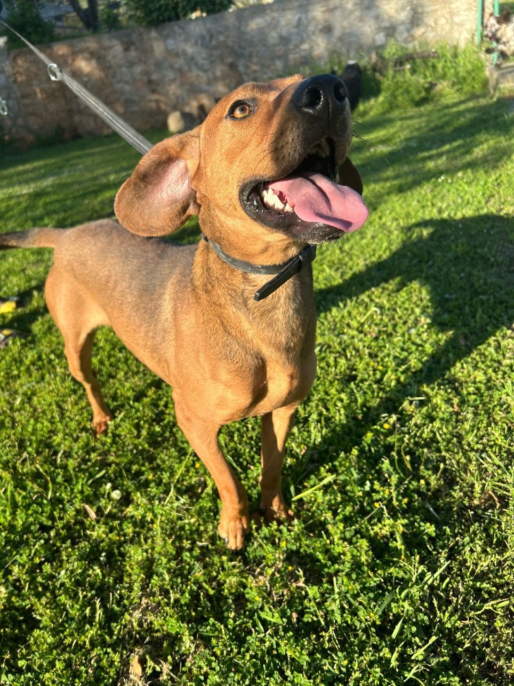 Hunter Bruno
