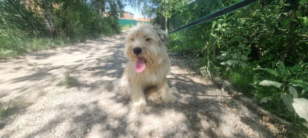 Walter