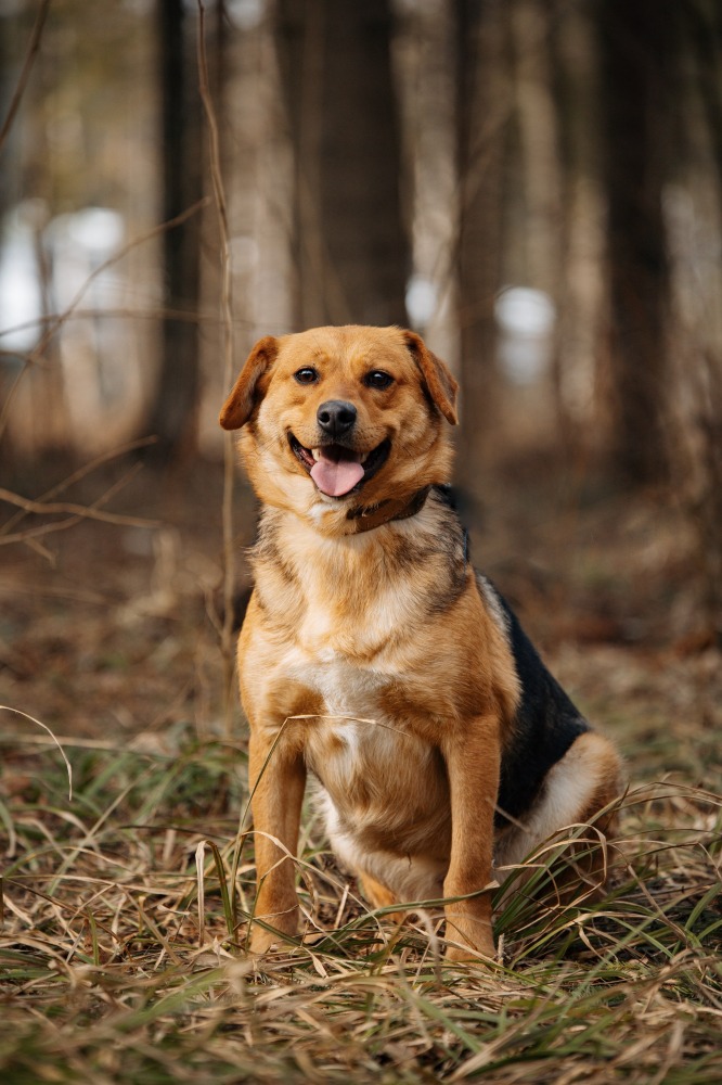 Tessa 45 cm van vreugde