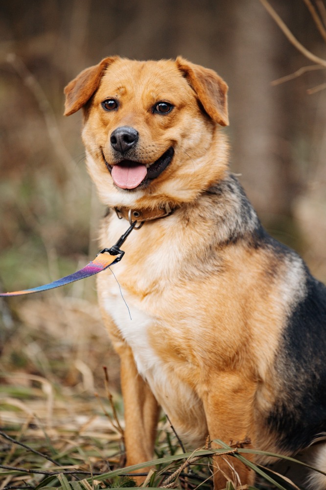 Tessa 45 cm van vreugde