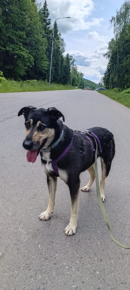 Snoopy knap en vrolijk!