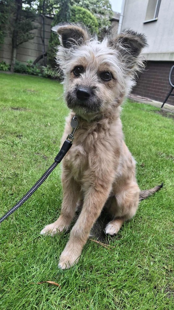 ♡Ruta, speels en vrolijk♡