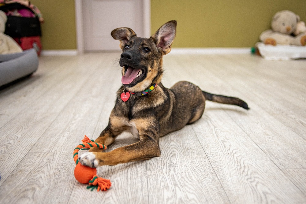 Malika met vleugelootjes