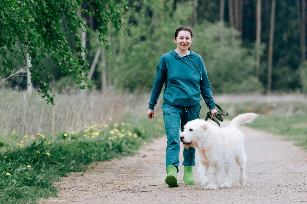 Rossi – de witte beer