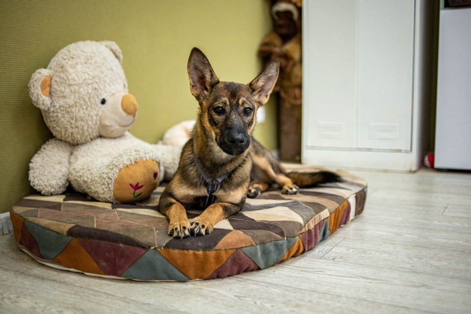 Mika een klein sterretje