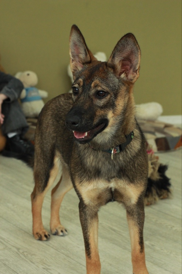 Mika een klein sterretje