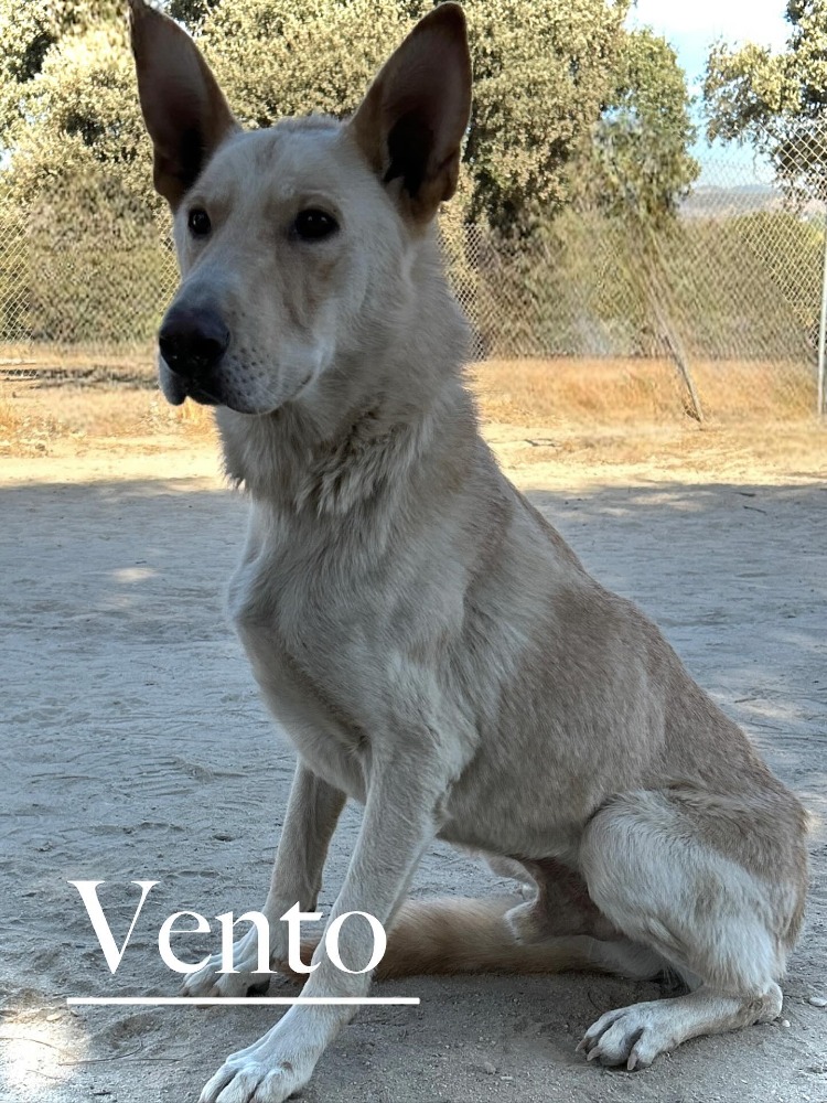 Vento DC, Can de Palleiro