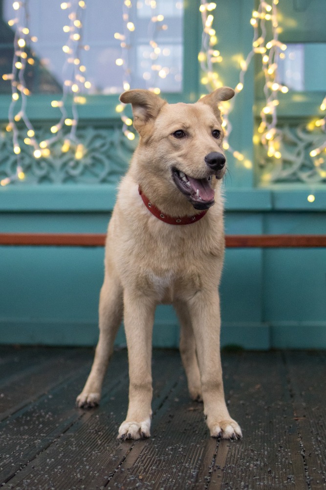 Chloe trouwe vriendin❤️