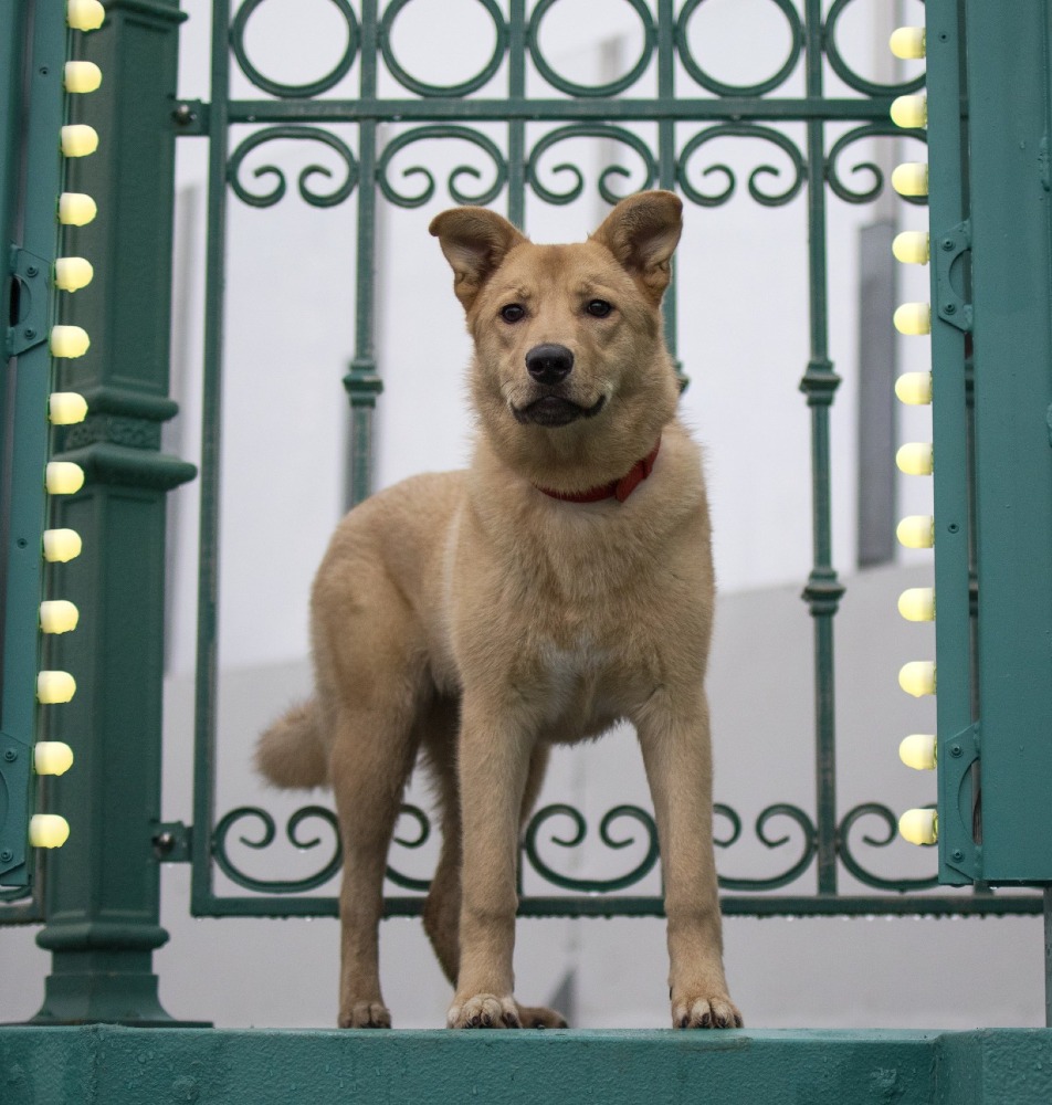 Chloe trouwe vriendin❤️