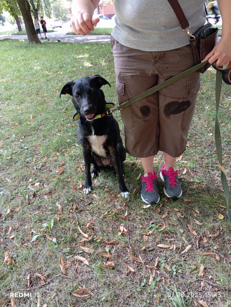 ♡Eva allemansvriend 22kg