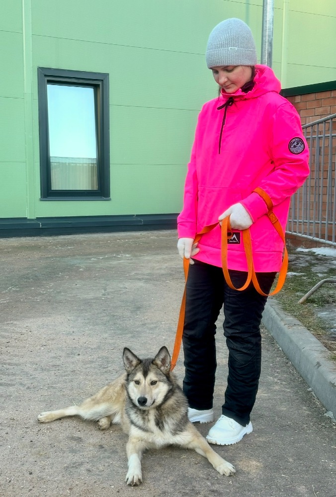 Aldo – een klein wolfje