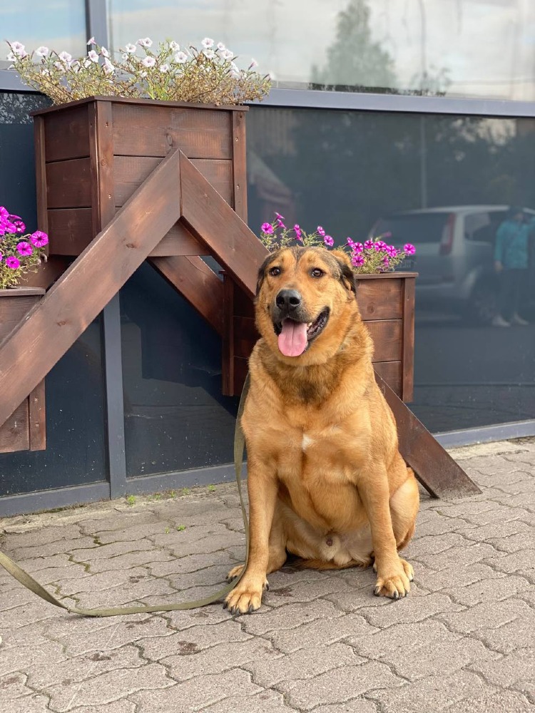 Lowie is een schatje