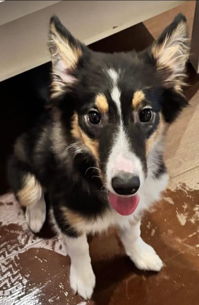 Kira AC