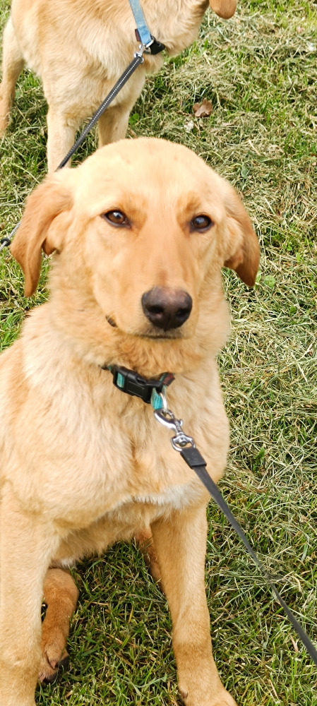 Marley