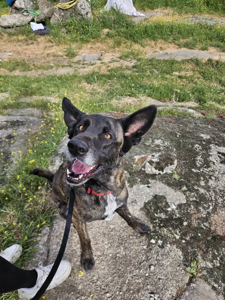 Zarpo
