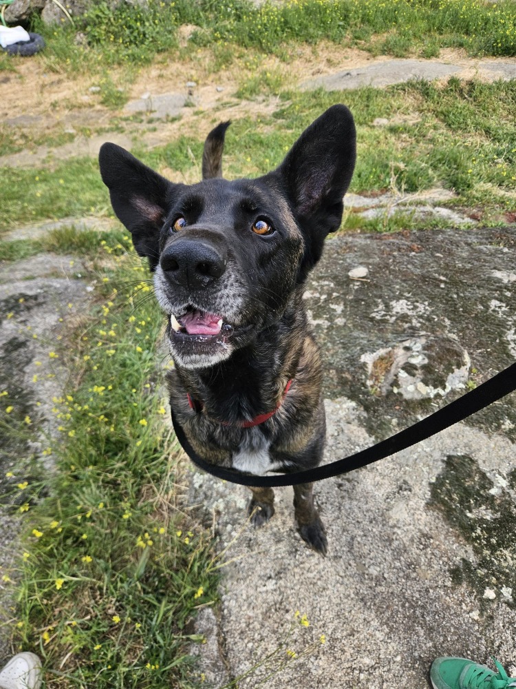 Zarpo