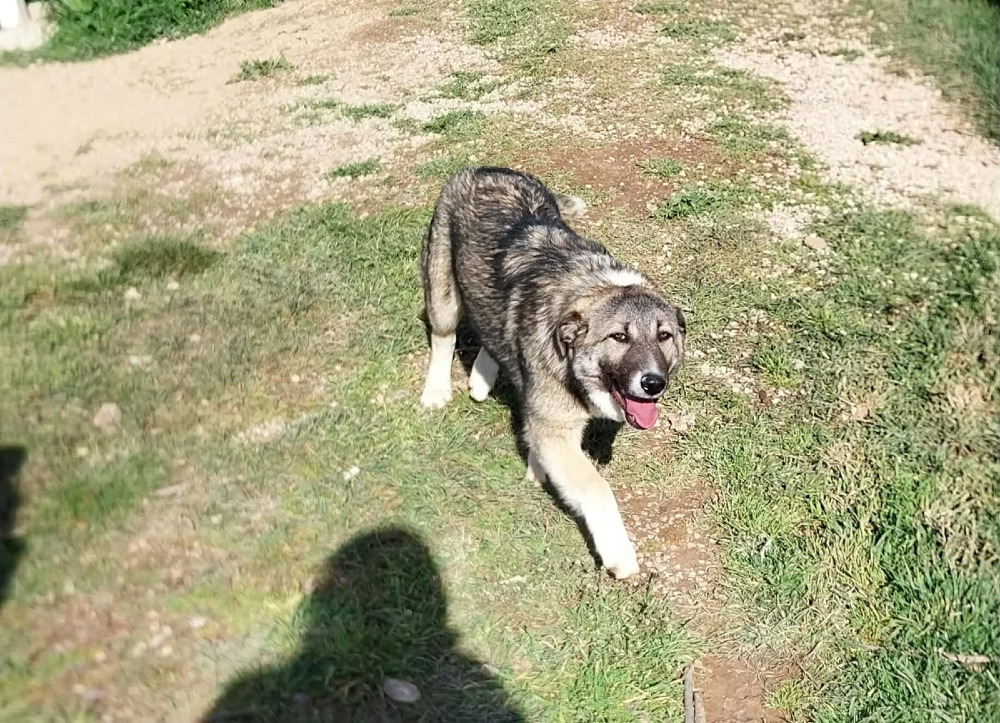 Luna
