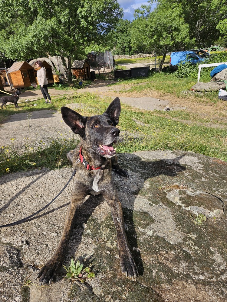 Zarpo