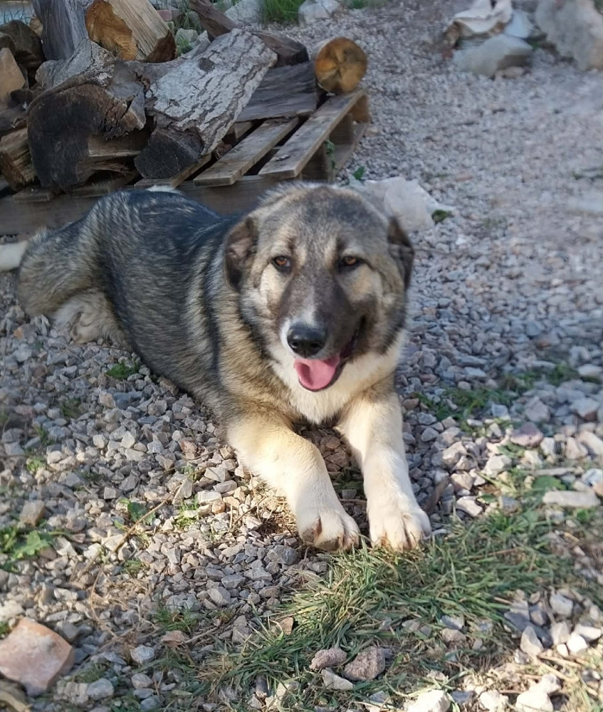 Luna