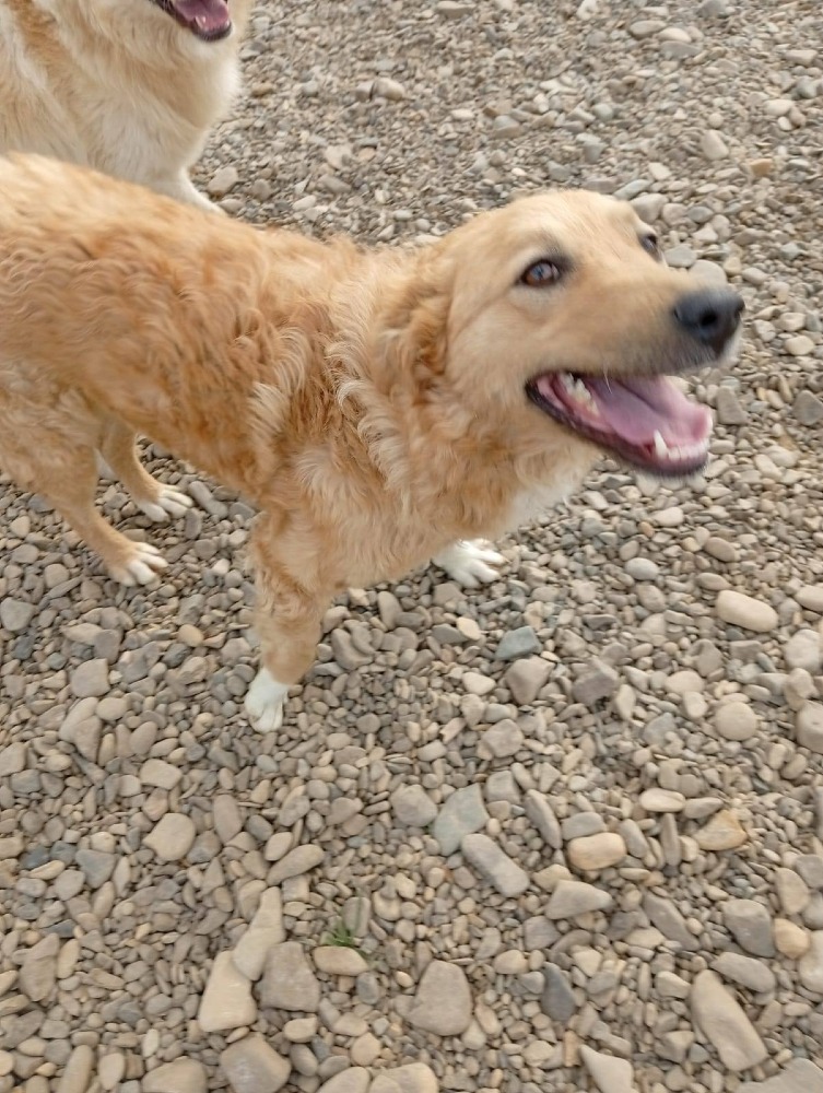 Alma