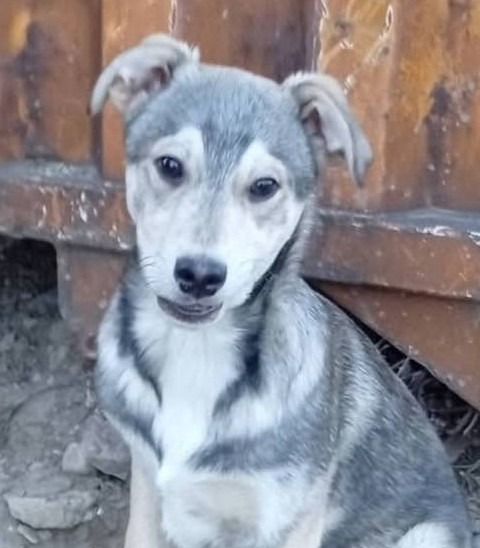 Benny