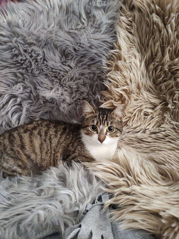 Chloe