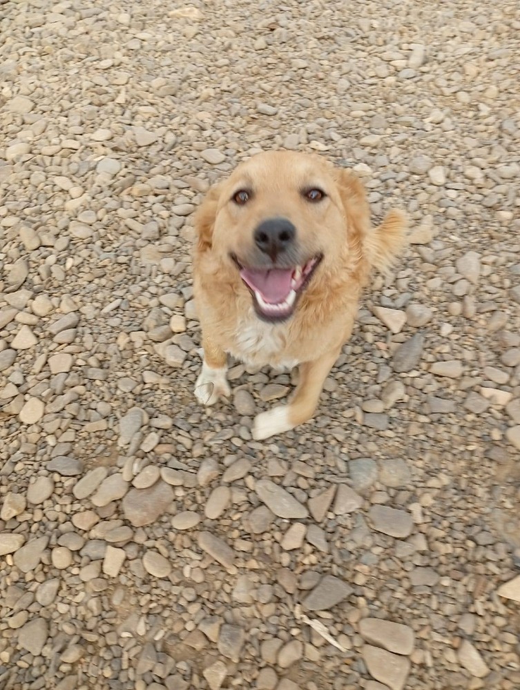 Alma