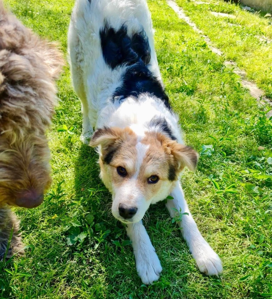 Max