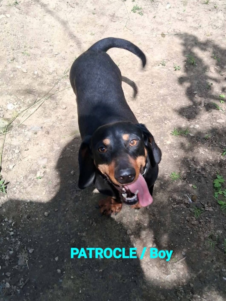 Patrole