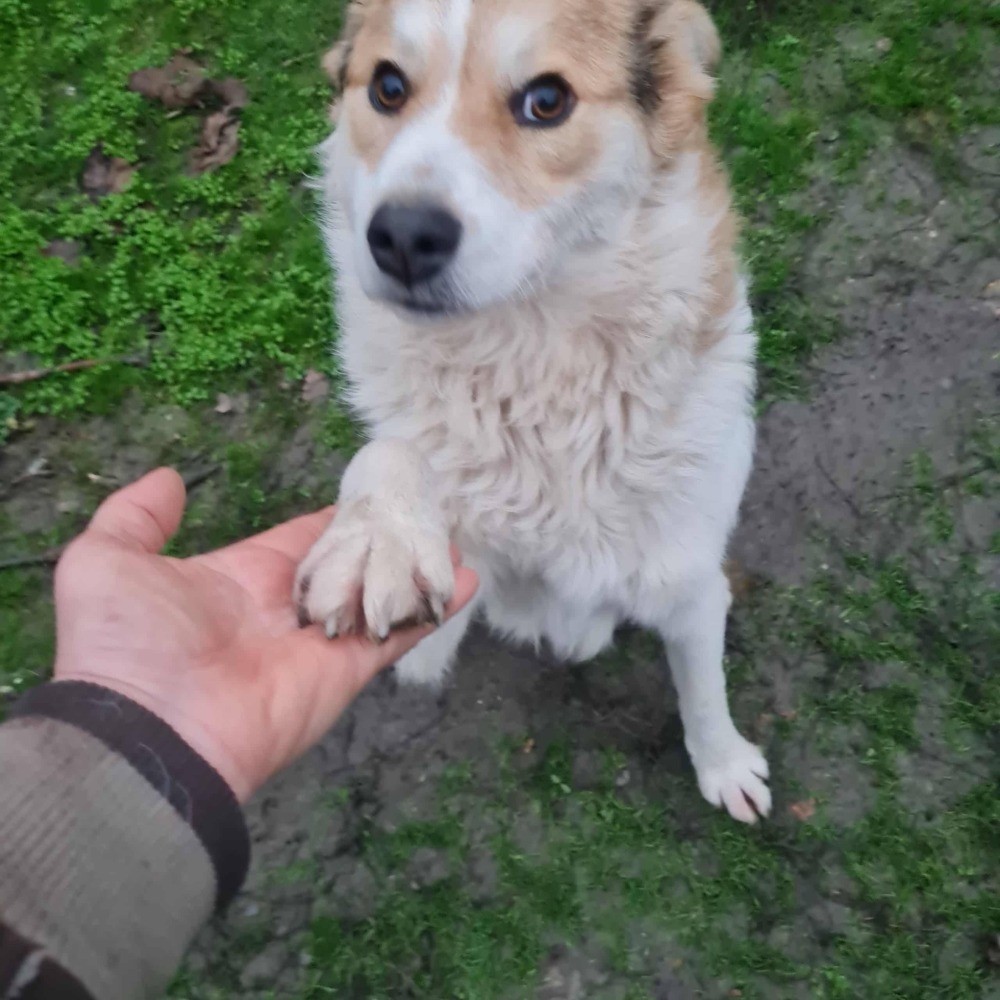Max