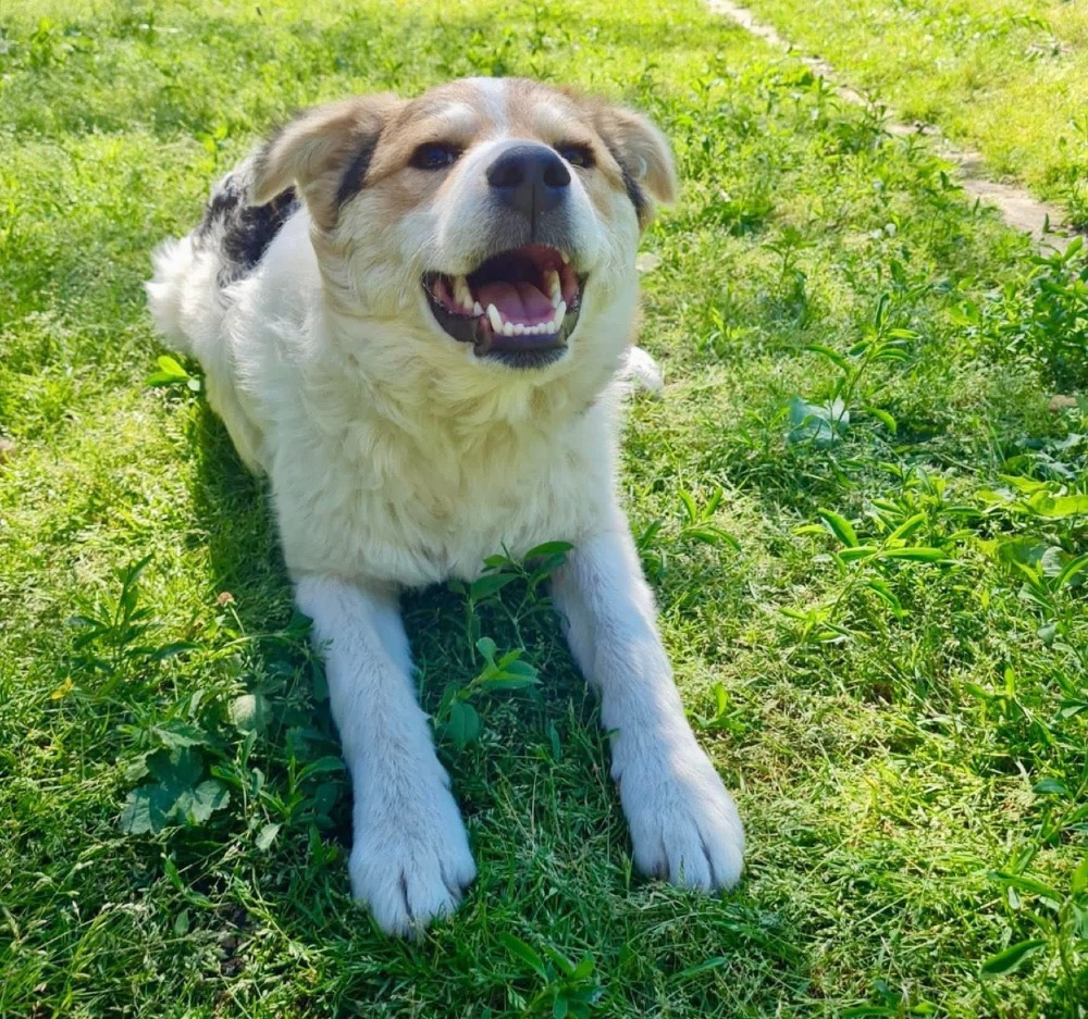 Max