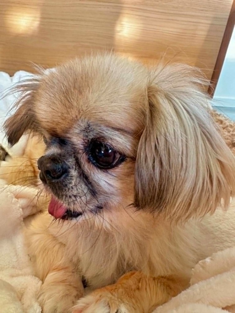 MICKIE