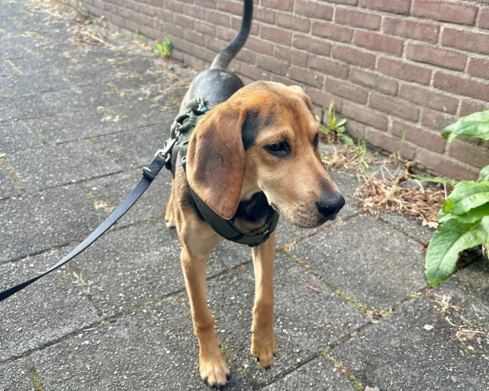 BUMI*katvriendelijk!