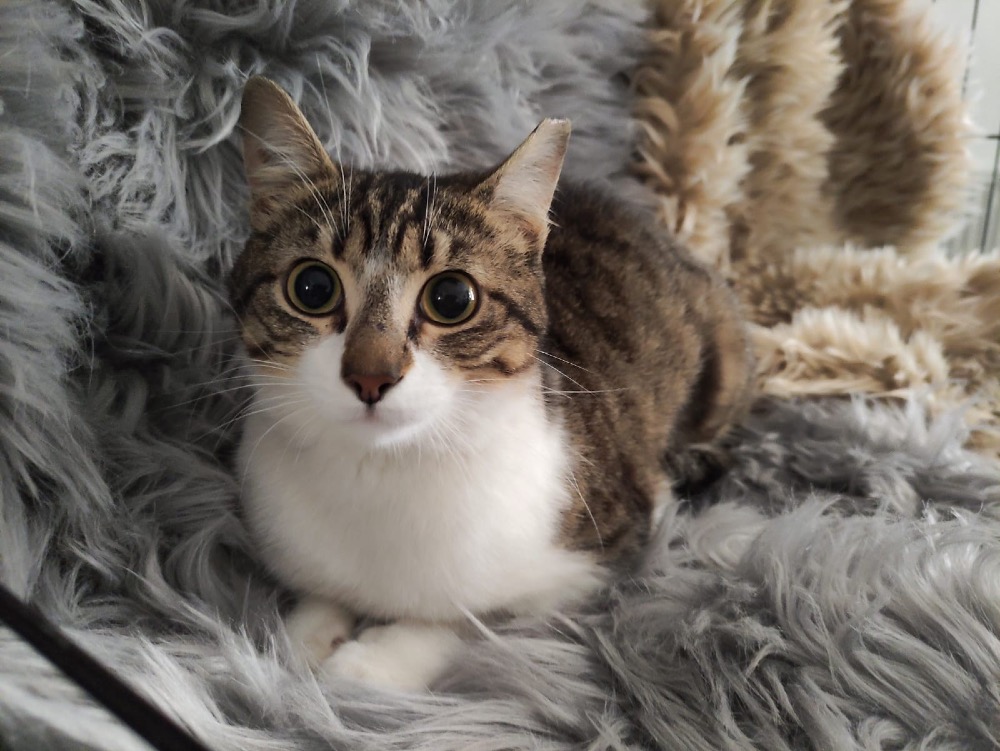 Chloe