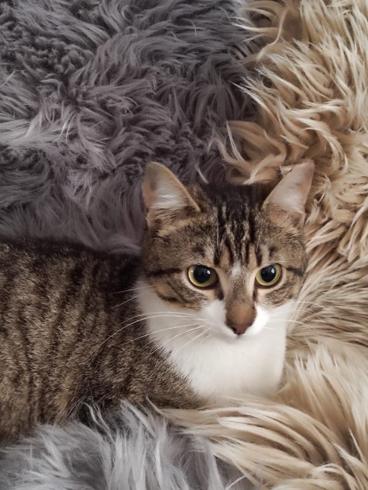 Chloe