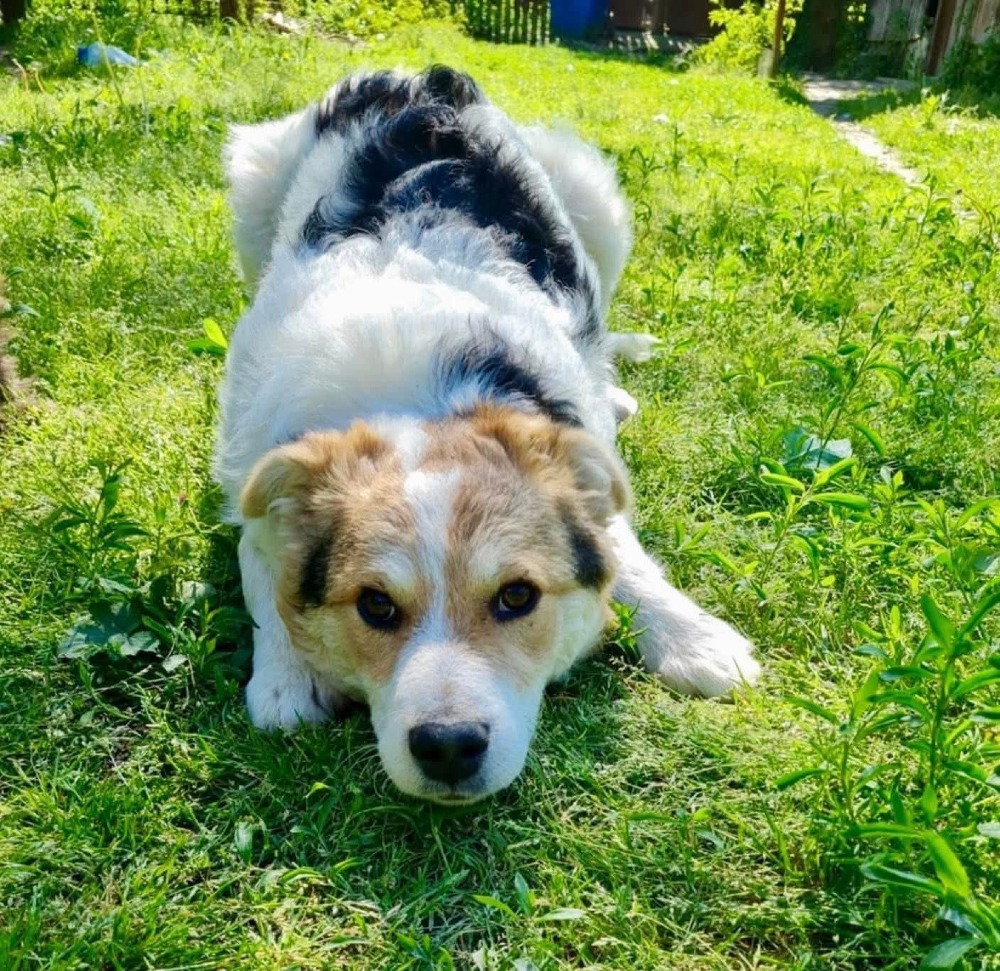 Max