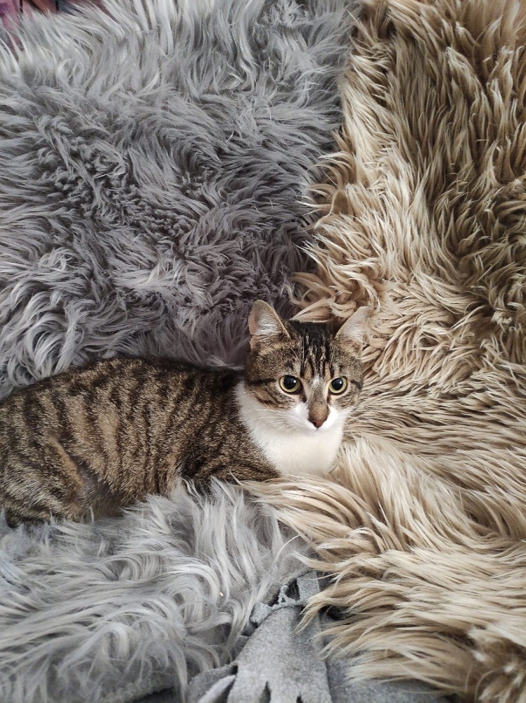 Chloe