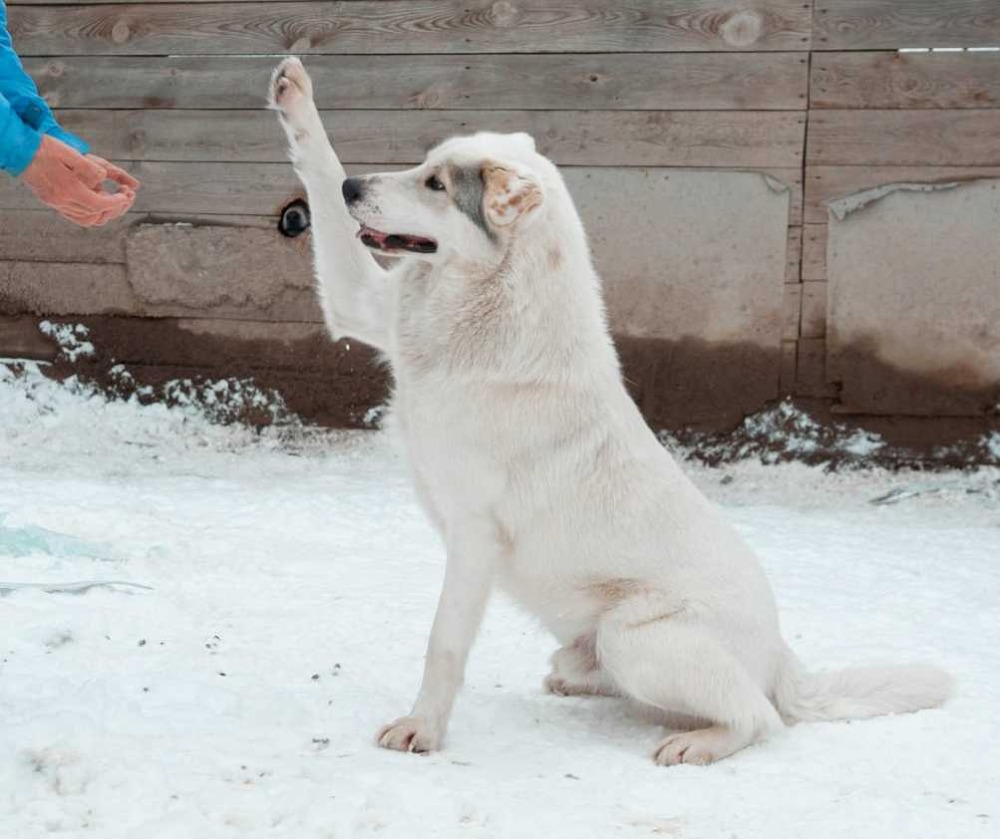 Aiko één en al liefde 💛