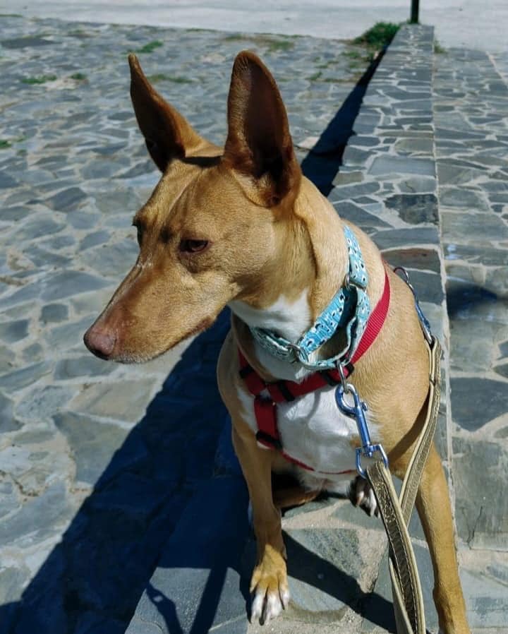 Tina