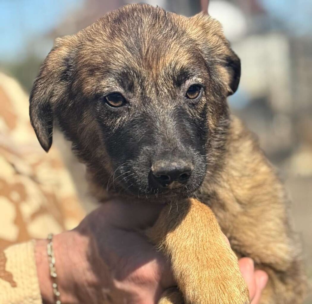 Marco